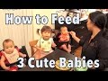 How to Feed 3 Cute Babies! - September 22, 2014 - itsJudysLife Daily Vlog