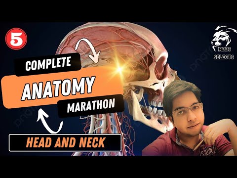 HEAD AND NECK One-Shot | MBBS ANATOMY | Biswanath Tripathy