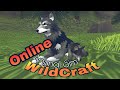 WildCraft -Animal Sim 3D Online!!