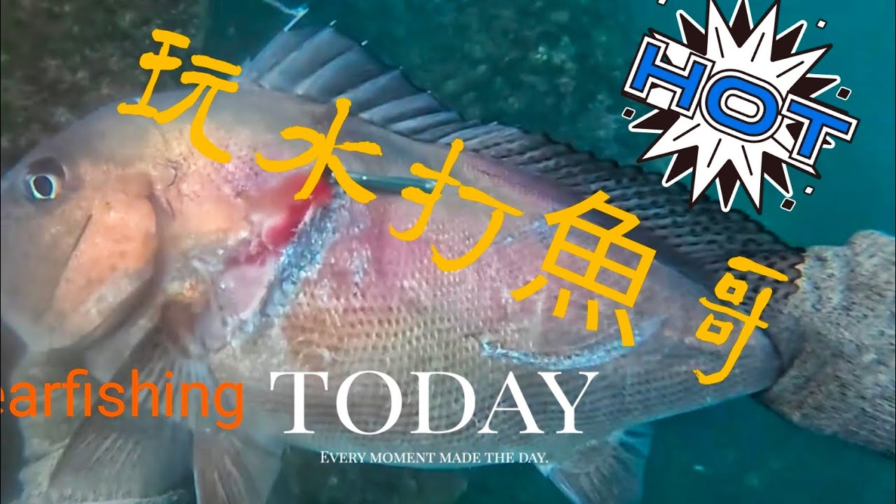 玩水打魚哥~打魚的驚喜“讚”spearfishing Taiwan
