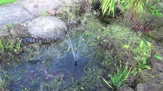 Blagdon Minipond Pump 700 Pond Pump to Run Fountains for Small Ponds up to 1500 