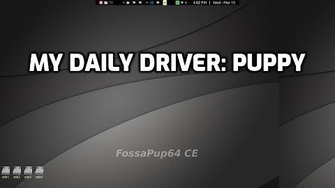 daily-CE4: showing off my daily puppylinux setup