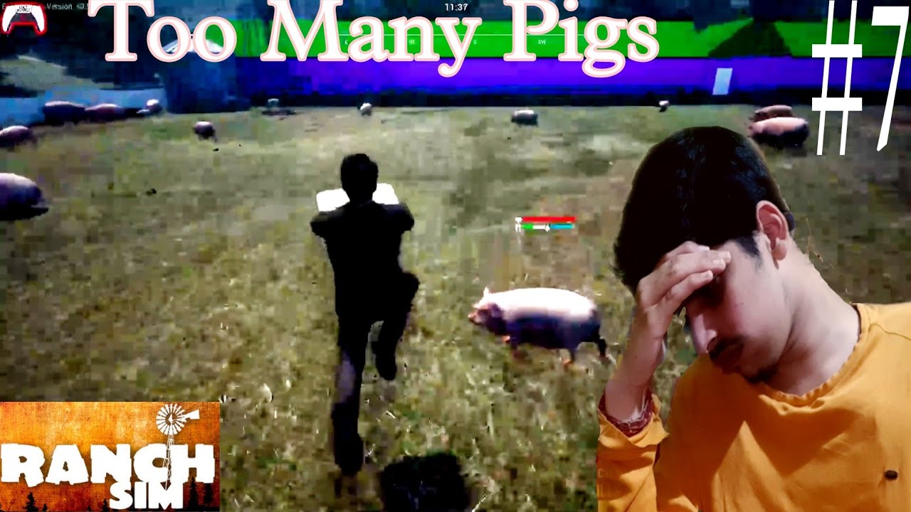 too-many-pigs-ranch-simulator-gameplay-7-gamer-heartbeat-youtube