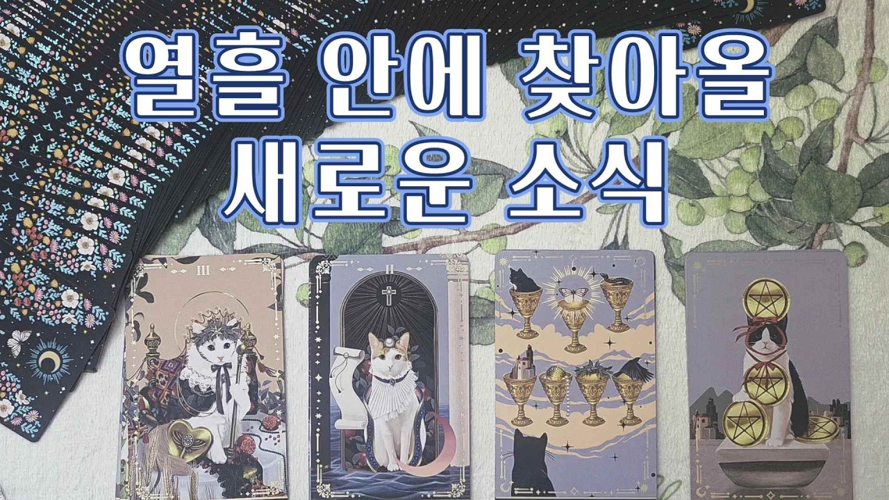 타로🔮｜열흘 안에 찾아올 새로운 소식