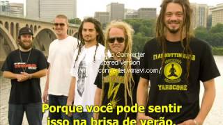 SOJA Summer Breeze Legendado