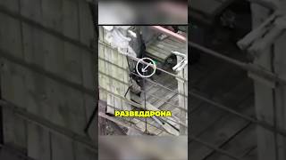 🎯 Минус глаза оккупантов