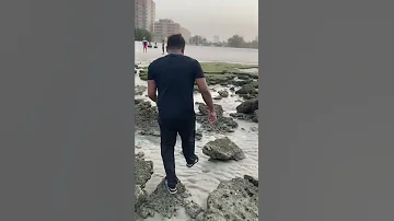 Mahboula Beach New Kuwait Beach Trending 