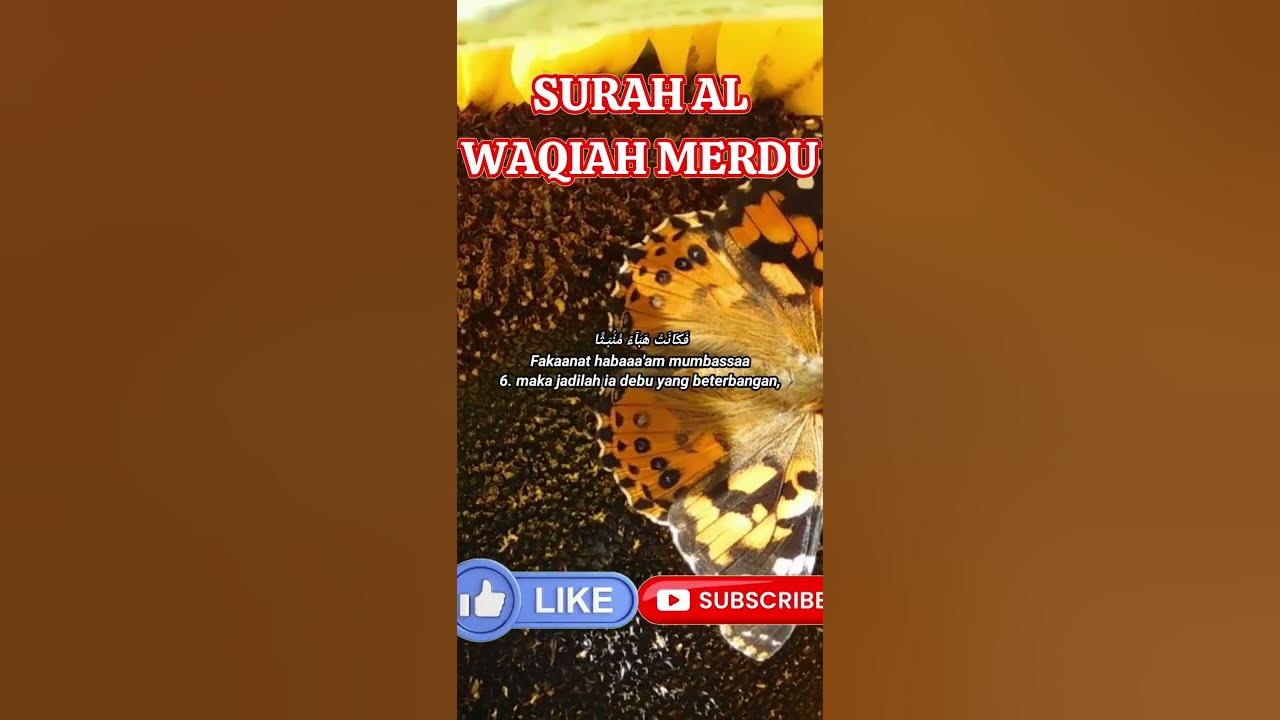 Doa dibuka Pintu Rezeki, Keselamatan, Kesihatan dan dijauhi dari Bala Dunia  Akhirat 