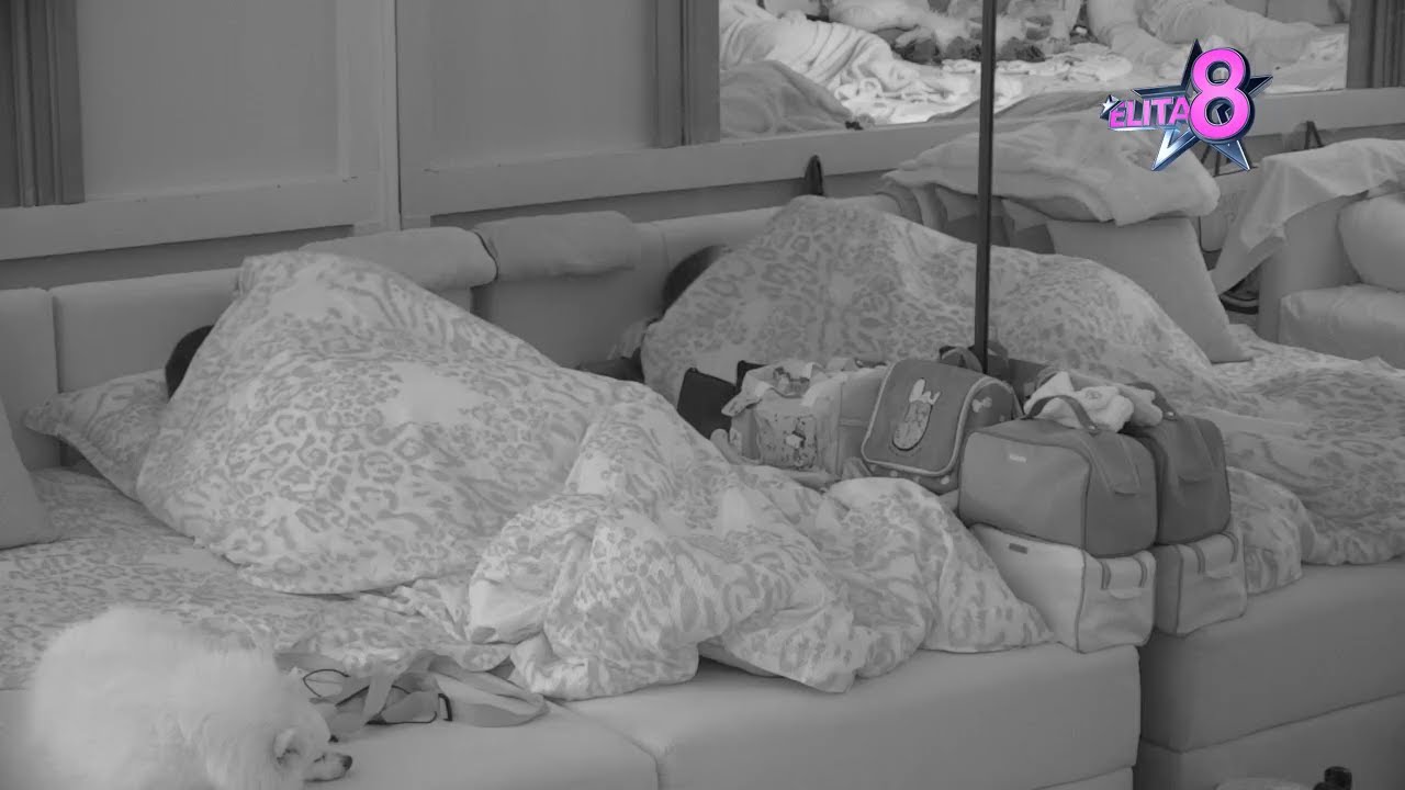 Elita 8: Pao poljubac Anđele i Gastoza, puca na sve strane - 19.10.2024.