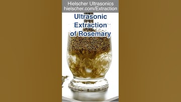 Rosemary Extraction Using an Ultrasonic Homogenizer UP400St #ultrasonic #extraction #sonicator