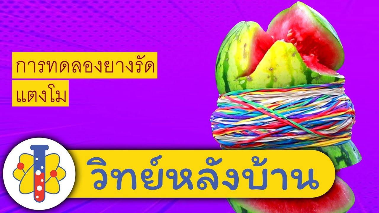 ⁣วิทย์หลังบ้าน | หนังยางเจอกับแตงโม - รัดหนังยาง 420 อันกับแตงโม | Rubber Band Challenge