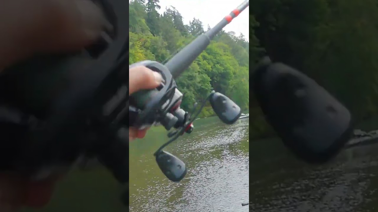 Nisqualy river pink Salmon