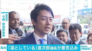新元号「令和」　自民・小泉氏「凜としている」(19/04/01)