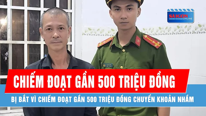 Bị bắt vì chiếm đoạt gần 500 triệu đồng chuyển khoản nhầm