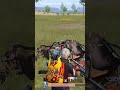 M416 1V4 3X spray