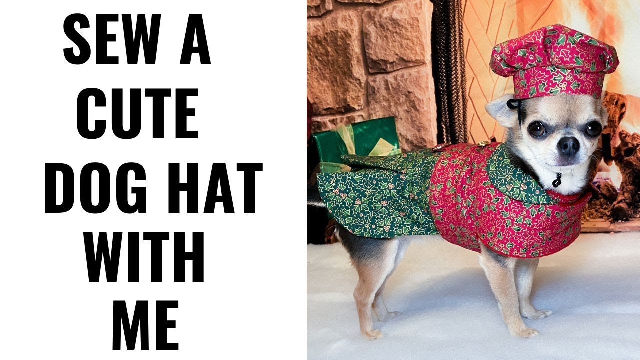 Sew A Dog Hat With Me Using Simplicity Pattern 2393
