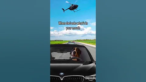 Well, nothing! Why are you chasing me dad?. #funny #trendingshorts #puppy