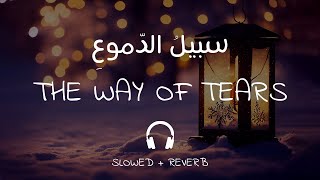 The Way Of Tears Slowed Reverb | Sabeel Al Dumu ~ Lofi