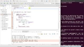 Fork and Exec Linux Programming Fork and Exec Linux Programming