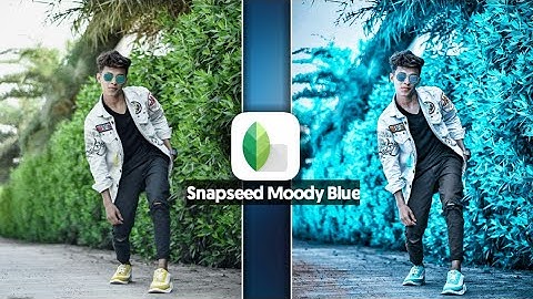 Snapseed Moody Blue Effect | Snapseed Photo Editing [Bdrock Editz ]#MoodyBlue