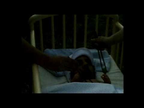 No More Mosquitoes Video