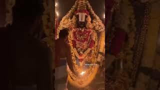 Govind🫂#perumal #tirupathi #devotionalsongs #devotional #hindugod #krishna #song #temple