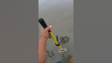 My Biggest Silver Ring Found Metal Detecting