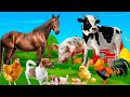 Family farm animals dog pig cow chicken horse  animal sounds