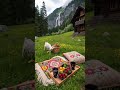MOUNTAINS KASHMIR #ytshorts#babygoats#ARANGKEL#virqlshorts #2026QURBANI LIVE UPDATES#goatfarming