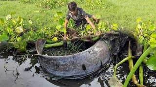 Amazing Hand Fishing Video. The Boy Catch Big Fish Traditionally River With Hand.