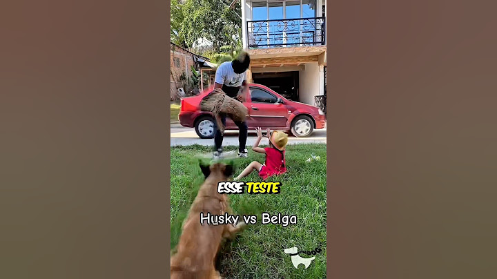 EXPERIMENTO PARA VER A REAÇÃO DE CÃES A UM SEQUESTRO😳