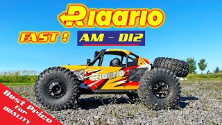 Do You Have Yours Yet? Rlaarlo AMD12 Desert Buggy  Review