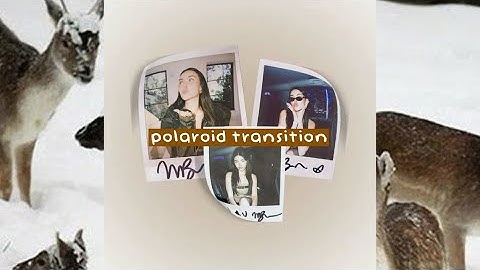 polaroid transition | video star qr codes