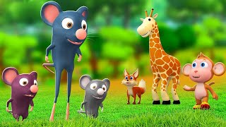 लम्बे पैरों वाला चूहा - Long Legged Mouse Story | Hindi Kahaniyan Moral Stories | JOJO TV Kids Hindi