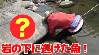 川釣りをしてたら目の前に○○○が現れた！！