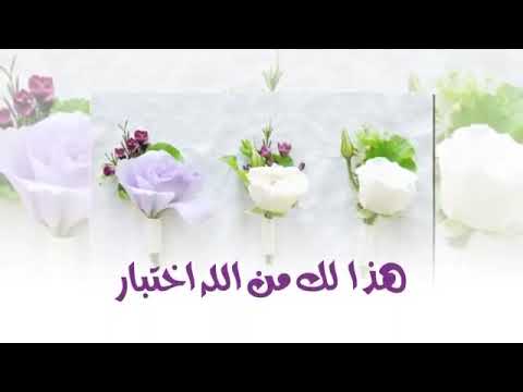 سلامتك والشر طار بدون موسيقى 