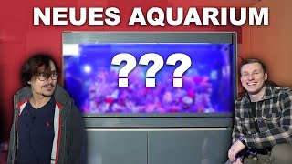 Neues AQUARIUM von Jack Elliot  Tiefsee im Schlafzimmer??