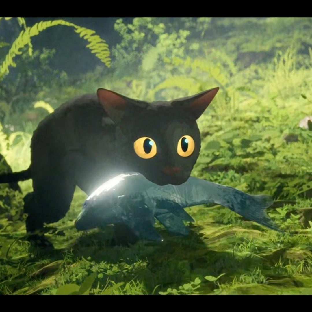 O GATINHO PEGOU O PEIXE DOS CACHORROS #shorts #animais #gatos