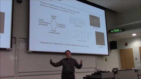 Dr. William Warren – Locomotion