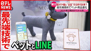 【ペット産業】愛犬や猫と