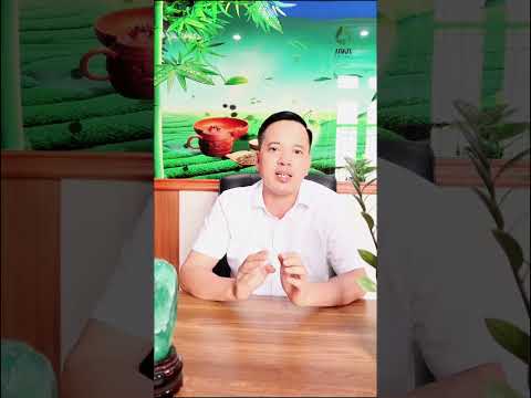 Tấm Nhựa Ốp