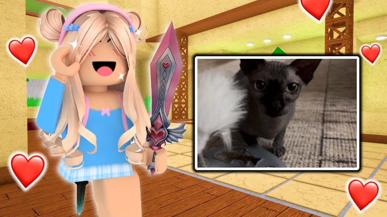 Мой КОТ УПРАВЛЯЕТ, как я играю в MM2...