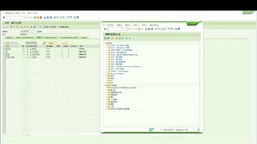 C# Connect SAP RFC：Creat SAP RFC Example