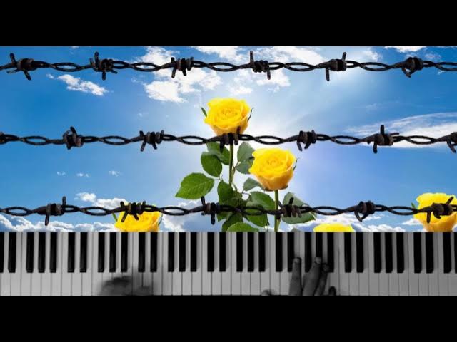 State of Siege coverd by Alto flute recorder and Piano- حکومت نظامی