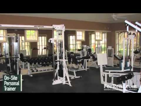 the brazos apartments in dallas tx forrent com youtube
