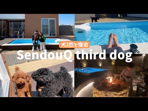 【犬2匹と泊まる】一棟貸しコテージSendouQ thirddog