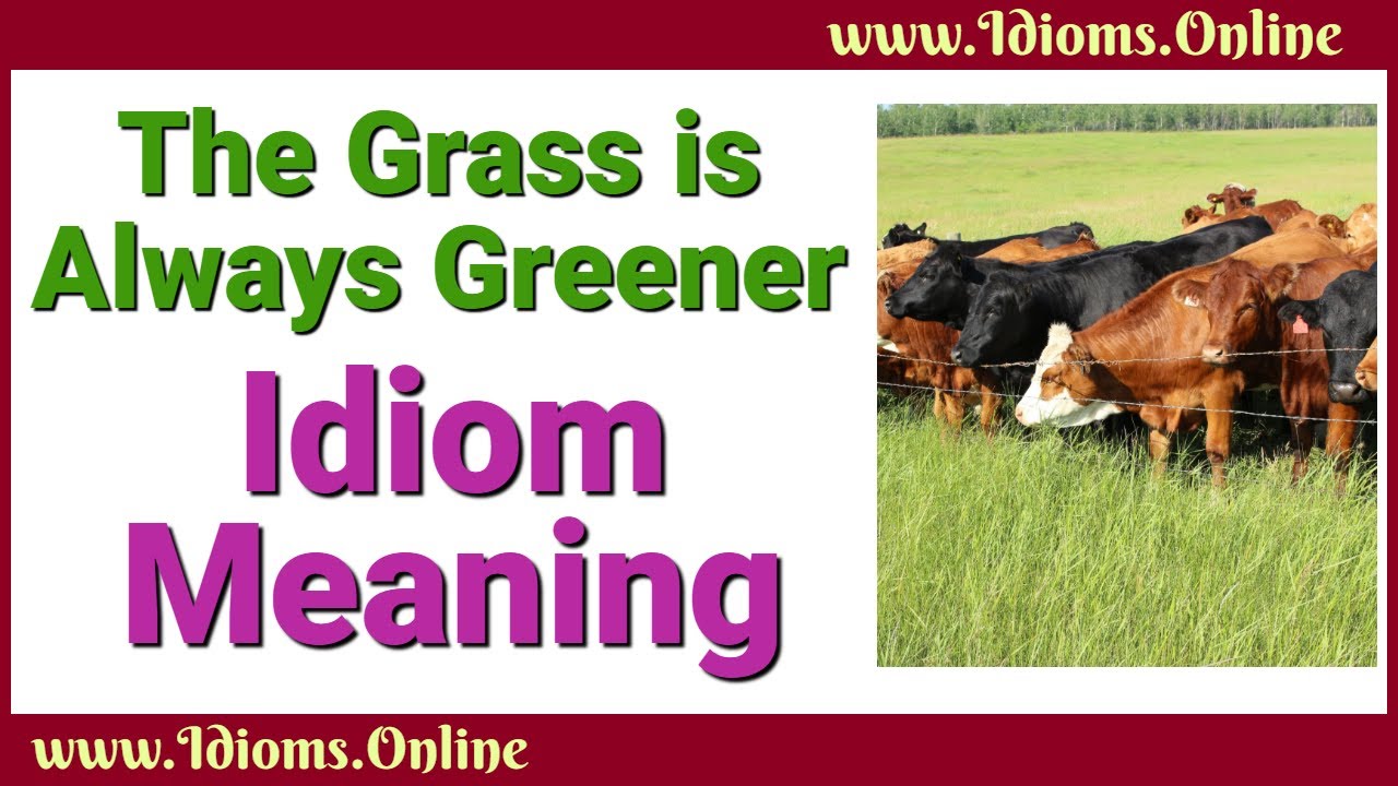 Grass Is Always Greener The Idioms Online