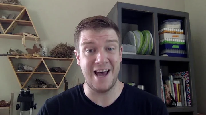 Unspoken Languages of Love: How Fireflies Communicate