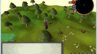 Emps-Scape - Bug