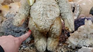 Vintage 1950s? Steiff Original Blonde Teddy Bear